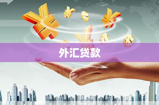 佳木斯外汇贷款
