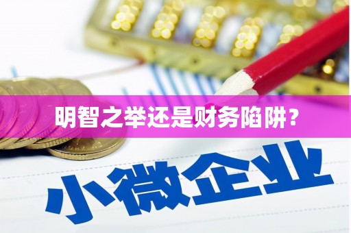 惠山明智之举还是财务陷阱？