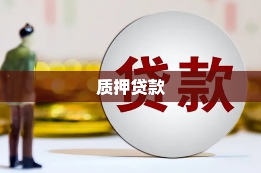 新洲质押贷款
