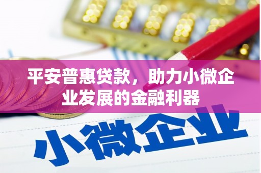 屯溪平安普惠贷款，助力小微企业发展的金融利器