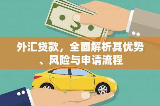 栖霞外汇贷款，全面解析其优势、风险与申请流程