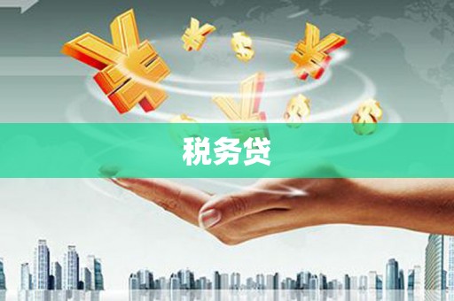墨江税务贷