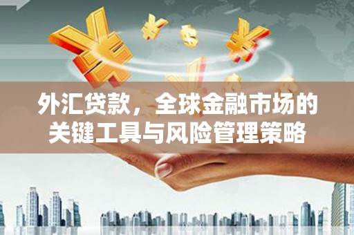 固镇外汇贷款，全球金融市场的关键工具与风险管理策略