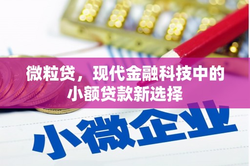 新都微粒贷，现代金融科技中的小额贷款新选择