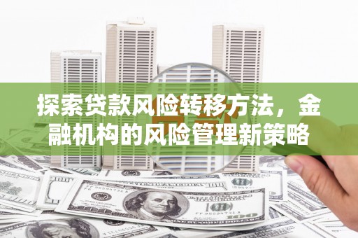开阳探索贷款风险转移方法，金融机构的风险管理新策略