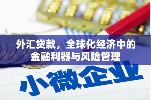 石冈外汇贷款，全球化经济中的金融利器与风险管理