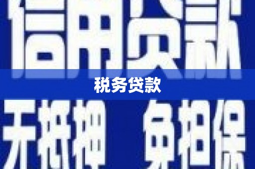 方山税务贷款