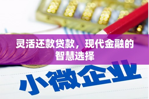 清河灵活还款贷款，现代金融的智慧选择