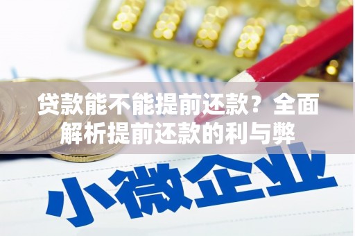 洛宁贷款能不能提前还款？全面解析提前还款的利与弊