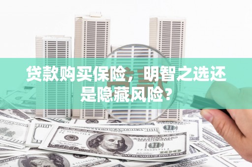 曲水贷款购买保险，明智之选还是隐藏风险？