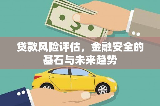 海盐贷款风险评估，金融安全的基石与未来趋势