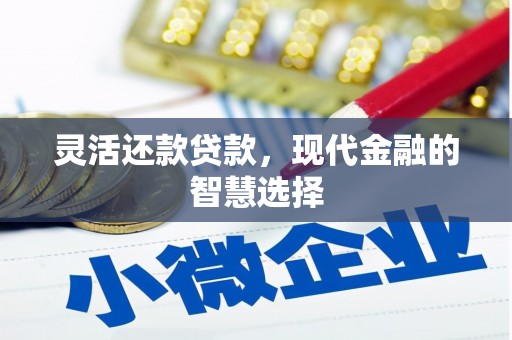 东乡族灵活还款贷款，现代金融的智慧选择