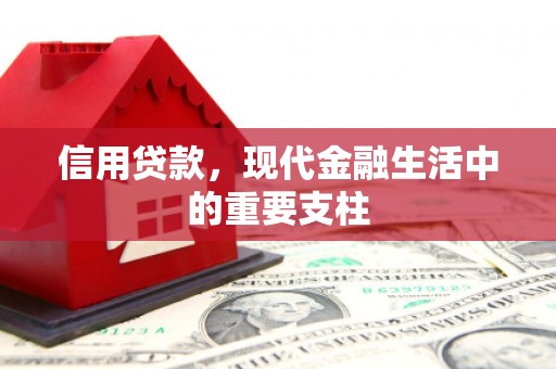 盐田信用贷款，现代金融生活中的重要支柱