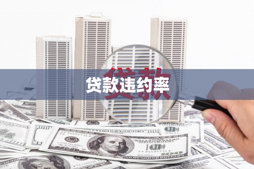 南涧贷款违约率