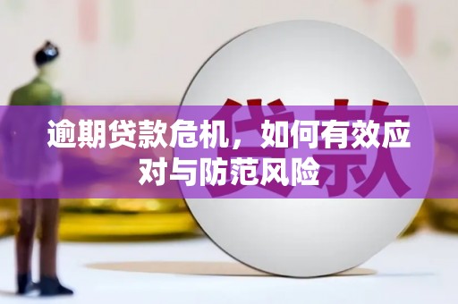 泸溪逾期贷款危机，如何有效应对与防范风险