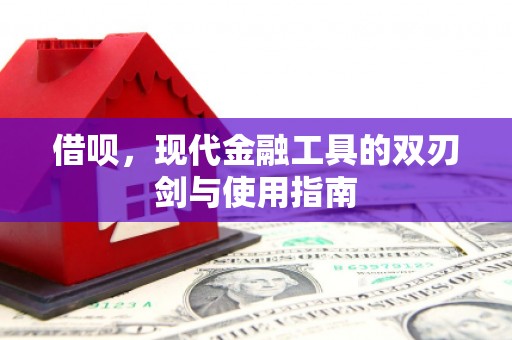 合山借呗，现代金融工具的双刃剑与使用指南