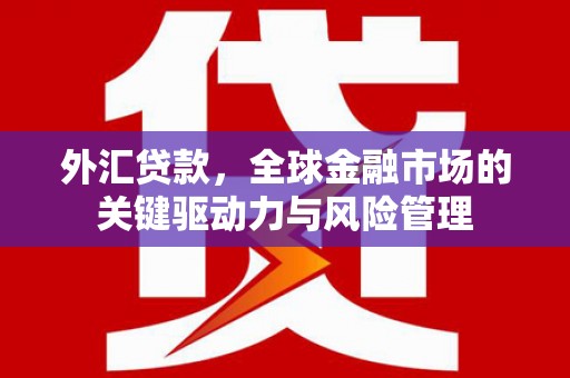 赤城外汇贷款，全球金融市场的关键驱动力与风险管理