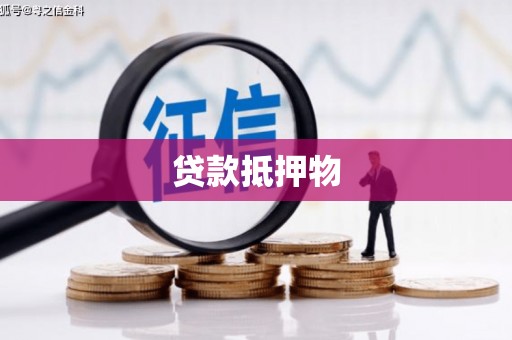 二水贷款抵押物