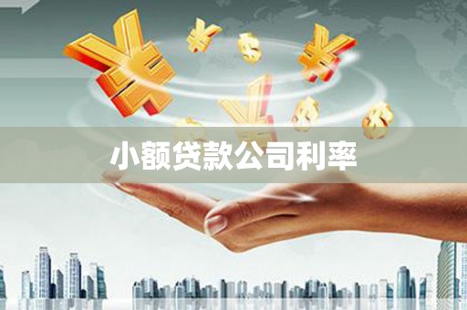 莒南小额贷款公司利率