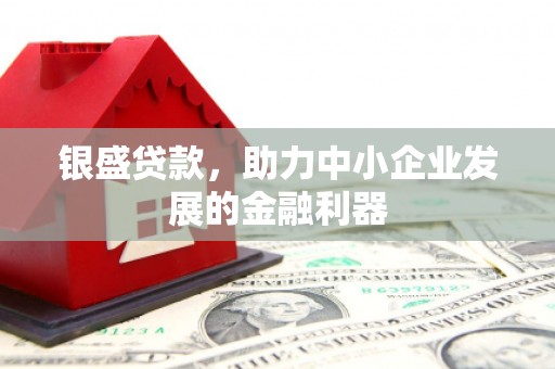 维西银盛贷款，助力中小企业发展的金融利器