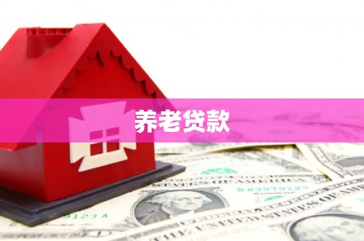 攀枝花养老贷款