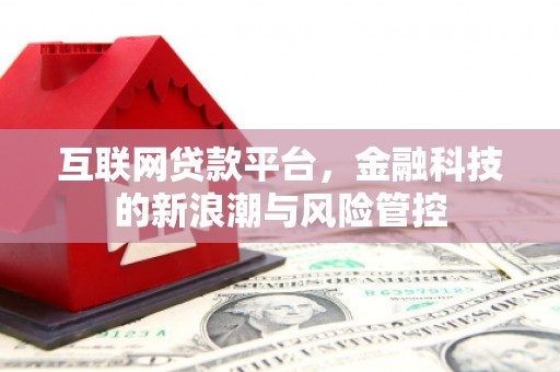 东至互联网贷款平台，金融科技的新浪潮与风险管控