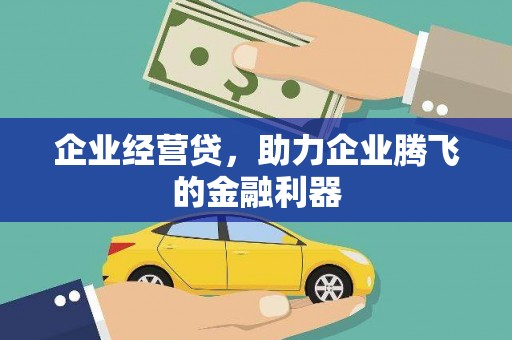 崖州企业经营贷，助力企业腾飞的金融利器