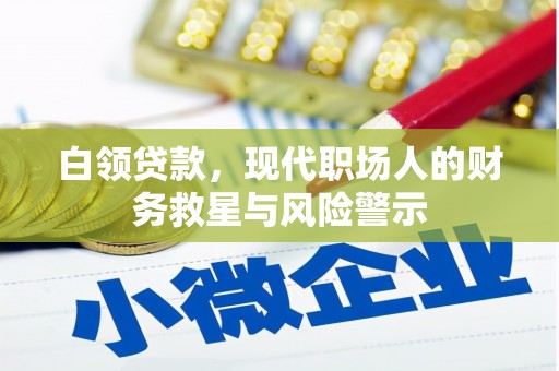 普宁白领贷款，现代职场人的财务救星与风险警示