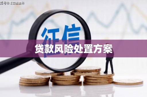 荔浦贷款风险处置方案