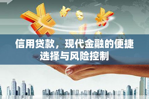 德钦信用贷款，现代金融的便捷选择与风险控制