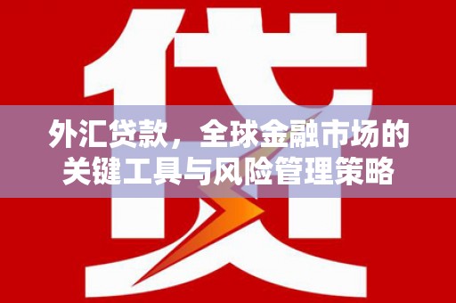 囊谦外汇贷款，全球金融市场的关键工具与风险管理策略