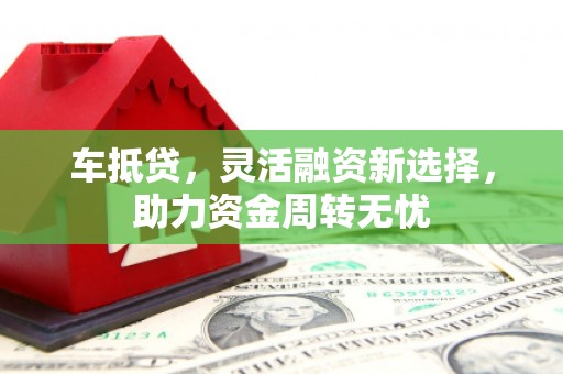 海港车抵贷，灵活融资新选择，助力资金周转无忧