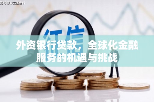 太仆寺旗外资银行贷款，全球化金融服务的机遇与挑战