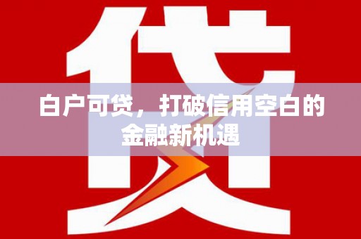 临翔白户可贷，打破信用空白的金融新机遇
