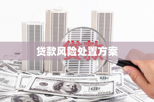 盐城贷款风险处置方案