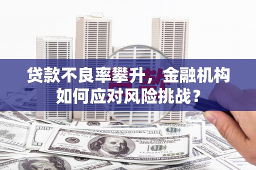 龙沙贷款不良率攀升，金融机构如何应对风险挑战？