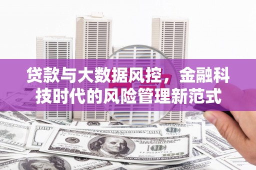大埔贷款与大数据风控，金融科技时代的风险管理新范式