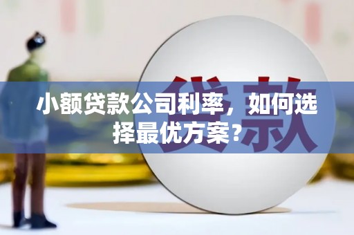 颍上小额贷款公司利率，如何选择最优方案？