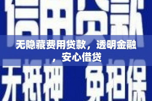 安南无隐藏费用贷款，透明金融，安心借贷