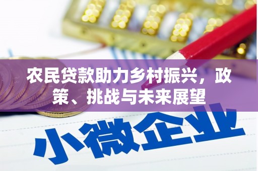 呼兰农民贷款助力乡村振兴，政策、挑战与未来展望