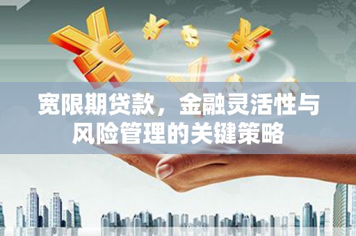 保税港区宽限期贷款，金融灵活性与风险管理的关键策略