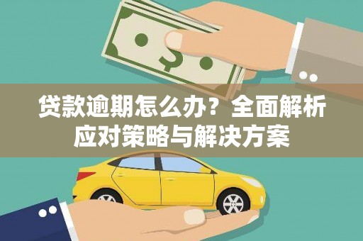 芦竹贷款逾期怎么办？全面解析应对策略与解决方案