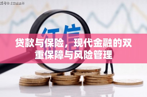保税港区贷款与保险，现代金融的双重保障与风险管理