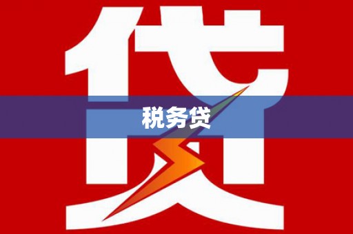 陇南税务贷