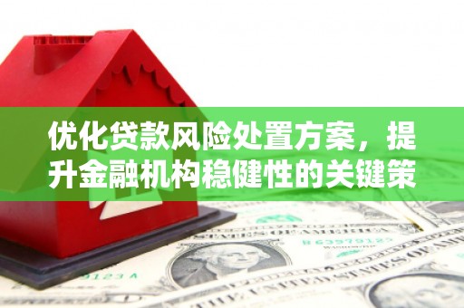 铜仁优化贷款风险处置方案，提升金融机构稳健性的关键策略