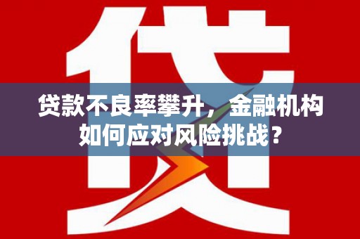 保税港区贷款不良率攀升，金融机构如何应对风险挑战？