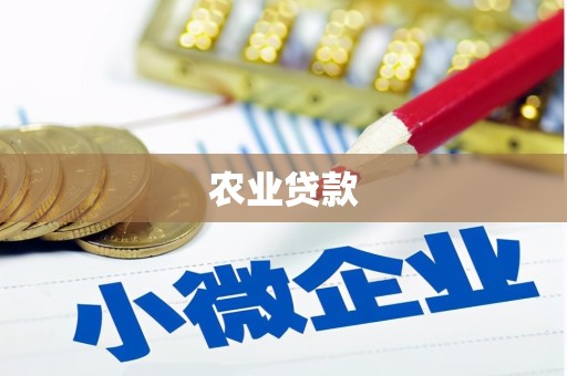 桦南农业贷款