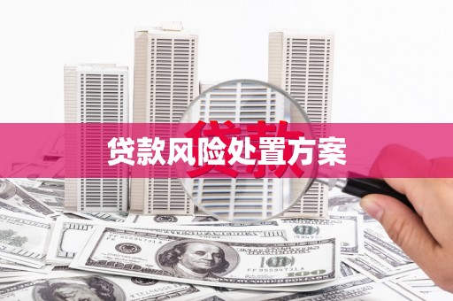 冈山贷款风险处置方案
