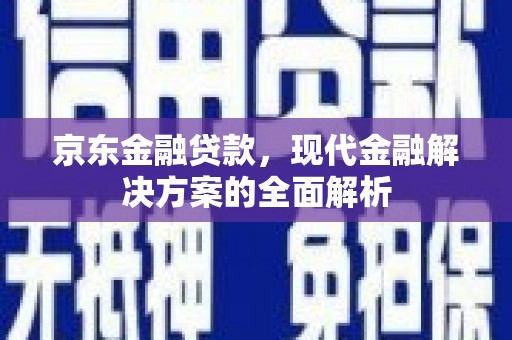 武江京东金融贷款，现代金融解决方案的全面解析