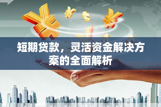 辽阳短期贷款，灵活资金解决方案的全面解析